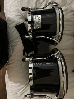 Bongo