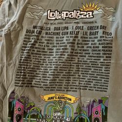 Urban Outfitters Shirts | Urban Outfitters-Lollapalooza and Champion Sweatshirt