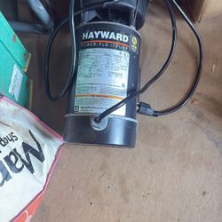 Hayward Pool Pump