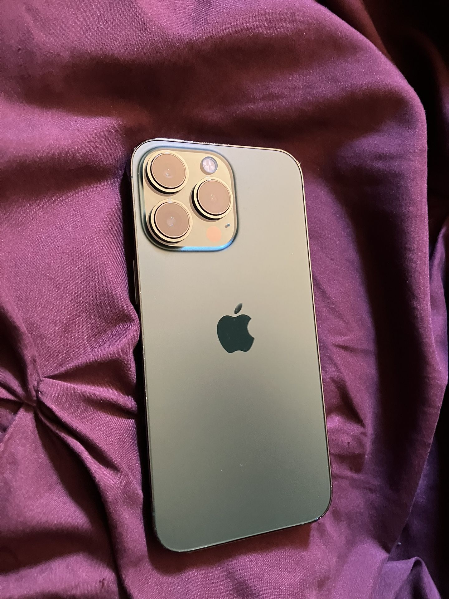 iPhone 13 Pro (512GB)