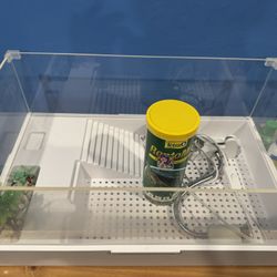 Turtle Tank