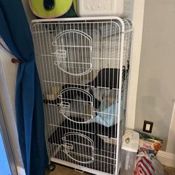 Ferret Cage