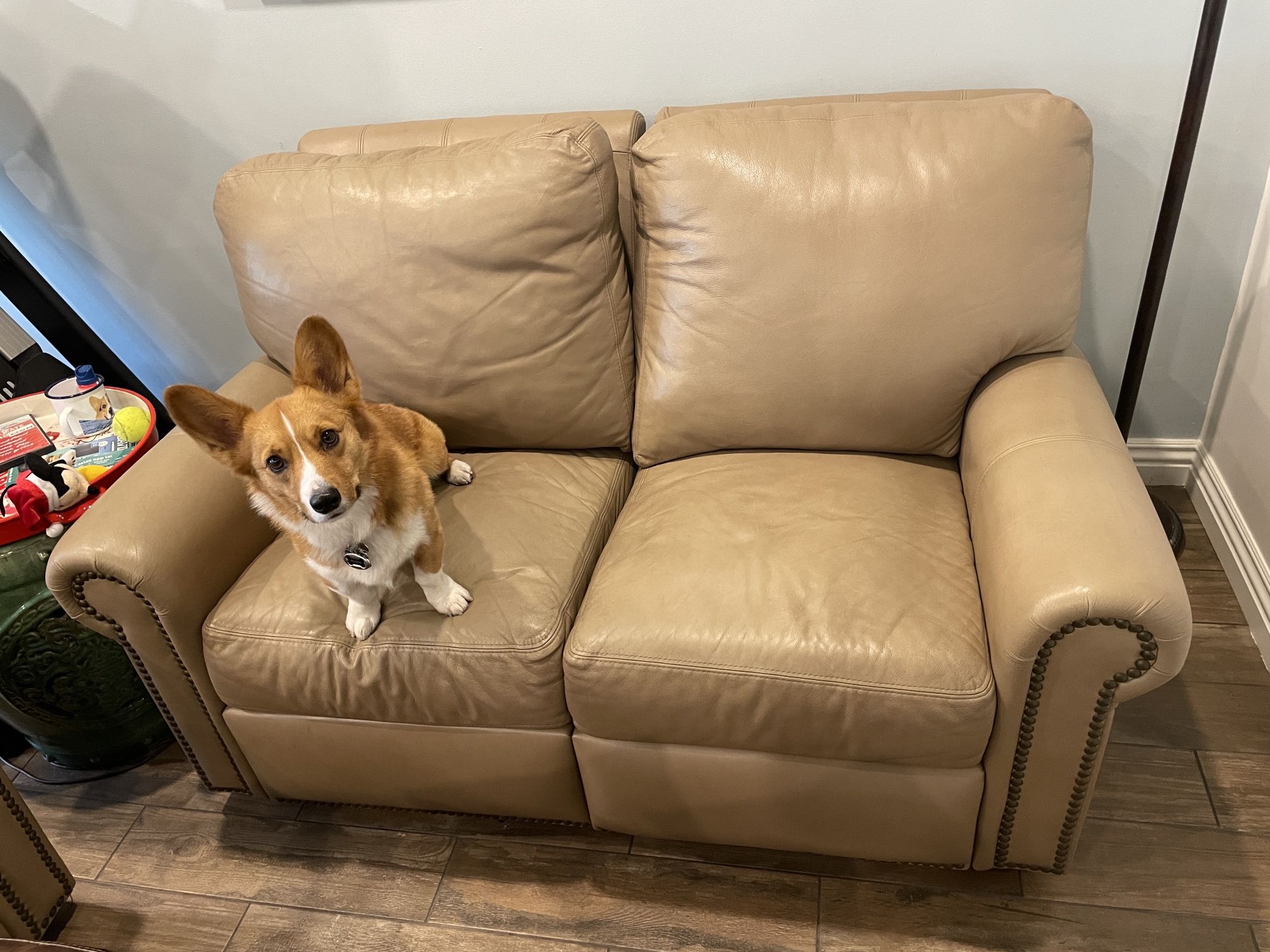 Reclining Loveseat Sofa