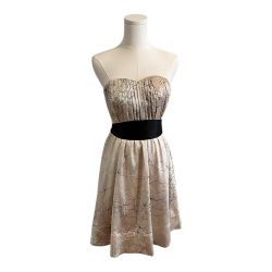 The Limited Strapless Champagne Satin Floral Dress Size 2
