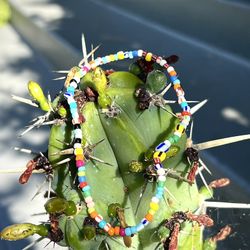 Assorted glass beads (Bracelets and Necklaces) 