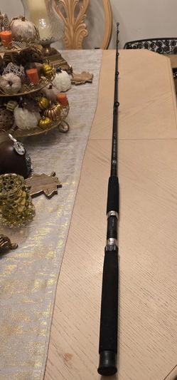 Penn Special Boat BSB 6630 6-foot 6-inch
conventional saltwater boat rod rated for a 20-40 Ib line weight