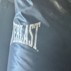 Everlast Punching Bag 