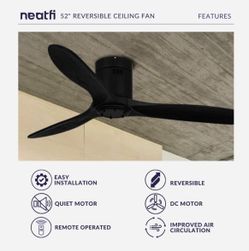 Ceiling Fan