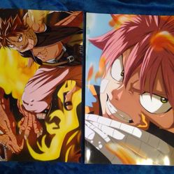 Fairy Tail Anime Posters $10 Each
