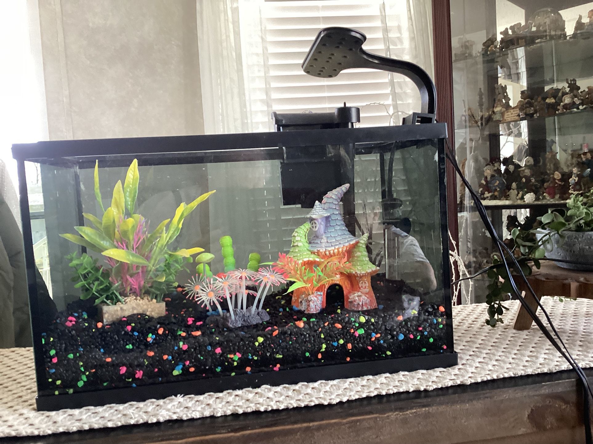 Fish Tank