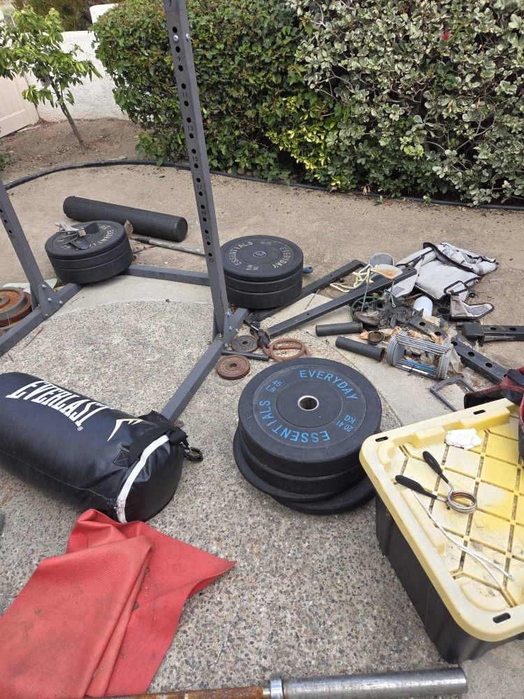 Gym Equipment