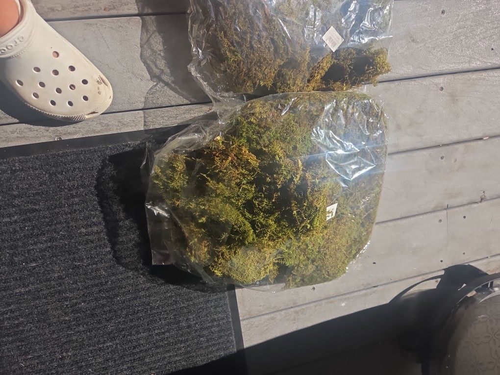 fake moss 2 bags 5$ for both