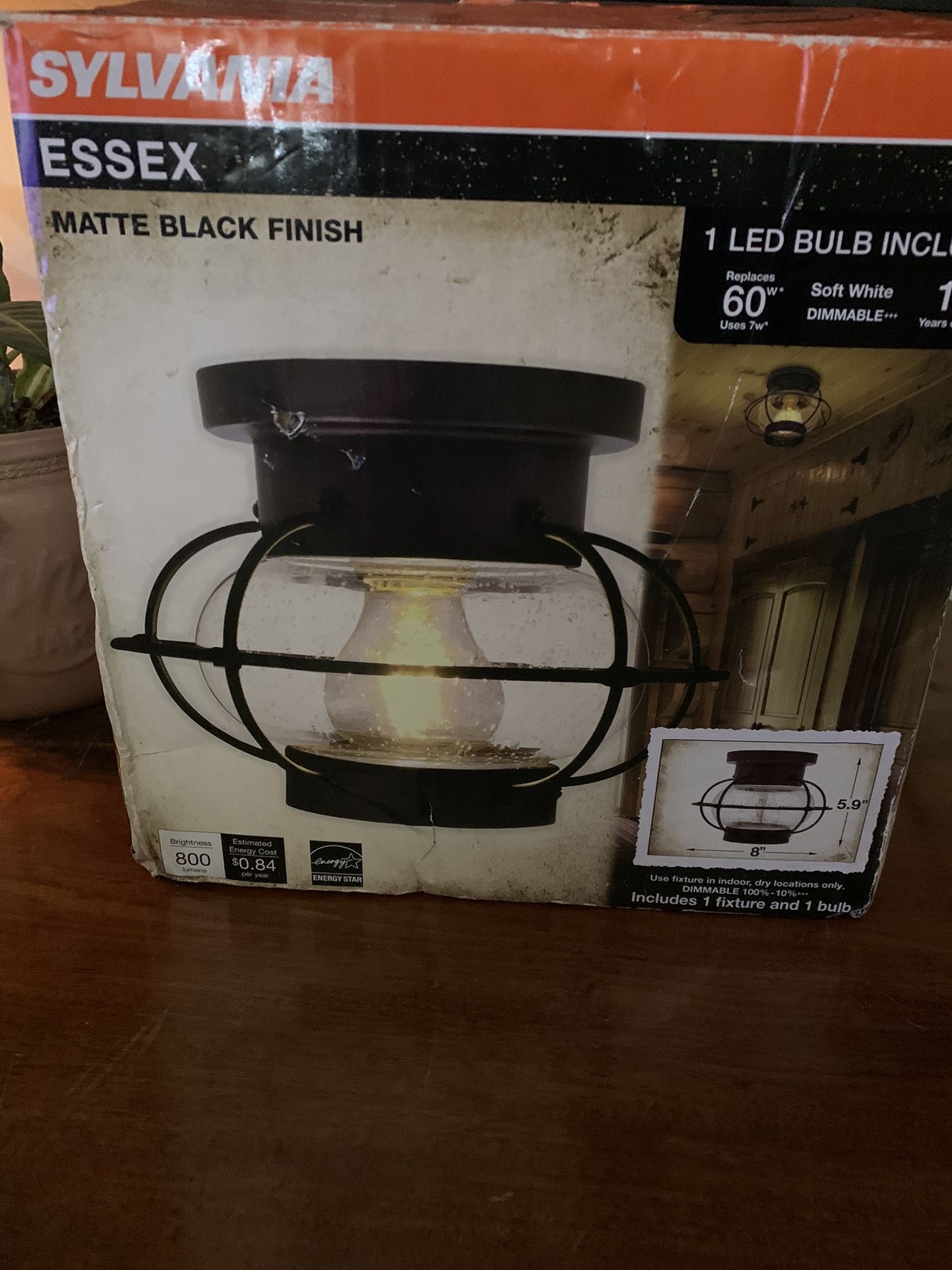 Light Fixture