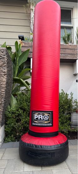 Boxing Bag UPRIGHT 80 LBS
