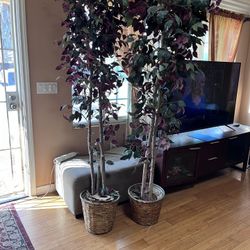 Decorative Tree 