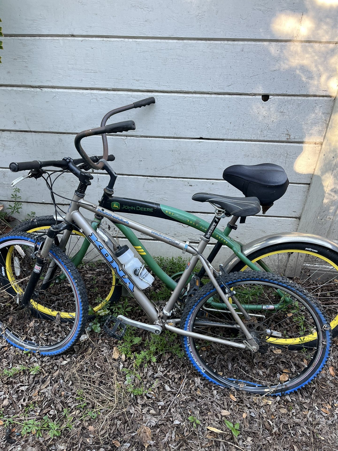 Beach Cruiser & Mountain Bike
