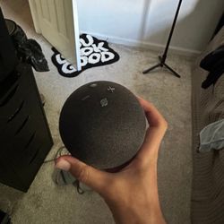 Amazon Echo
