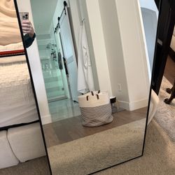 Selling Two 24x40 Mirrors 