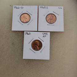 Copper Pennies 