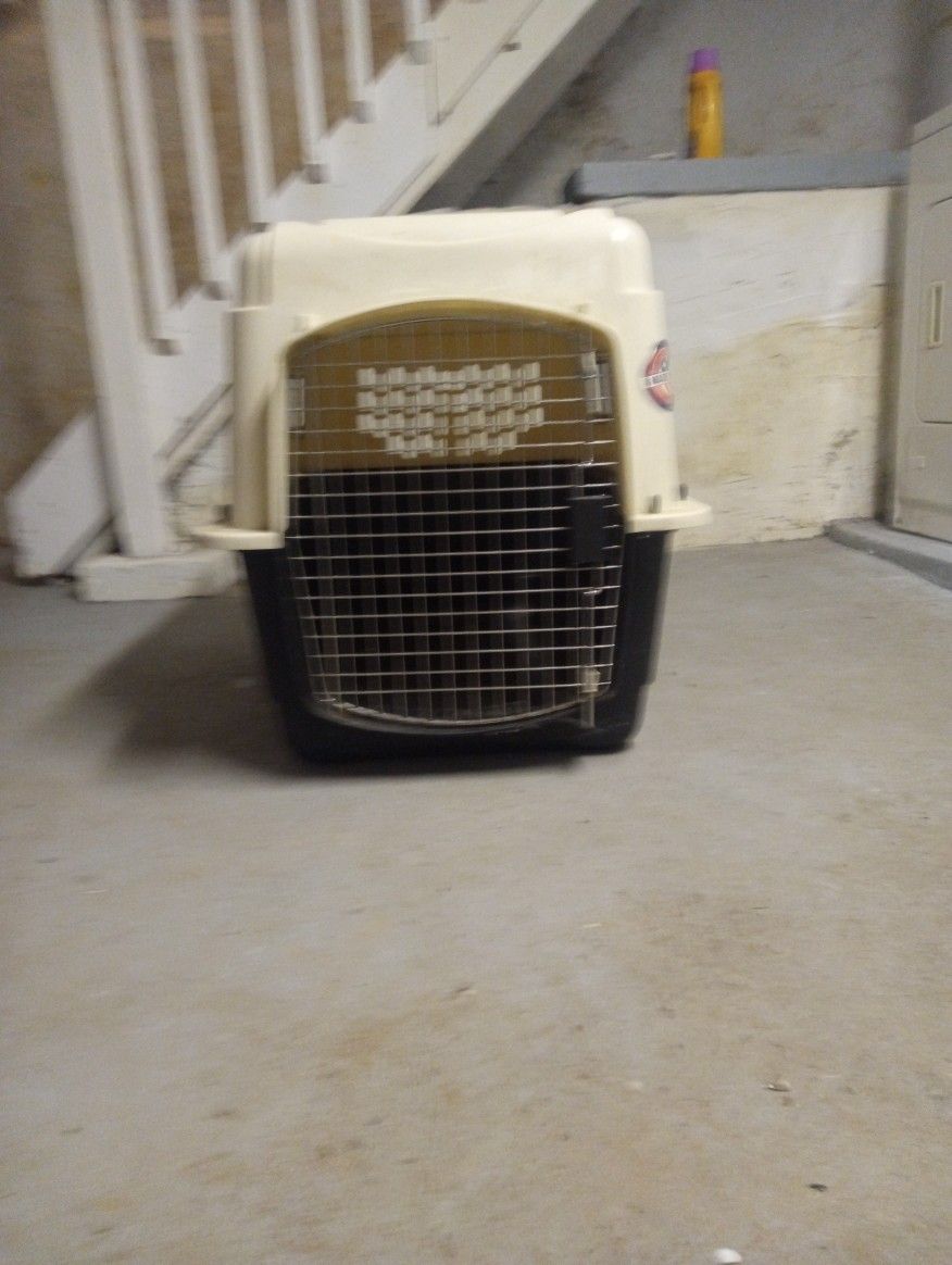 Pet Carrier