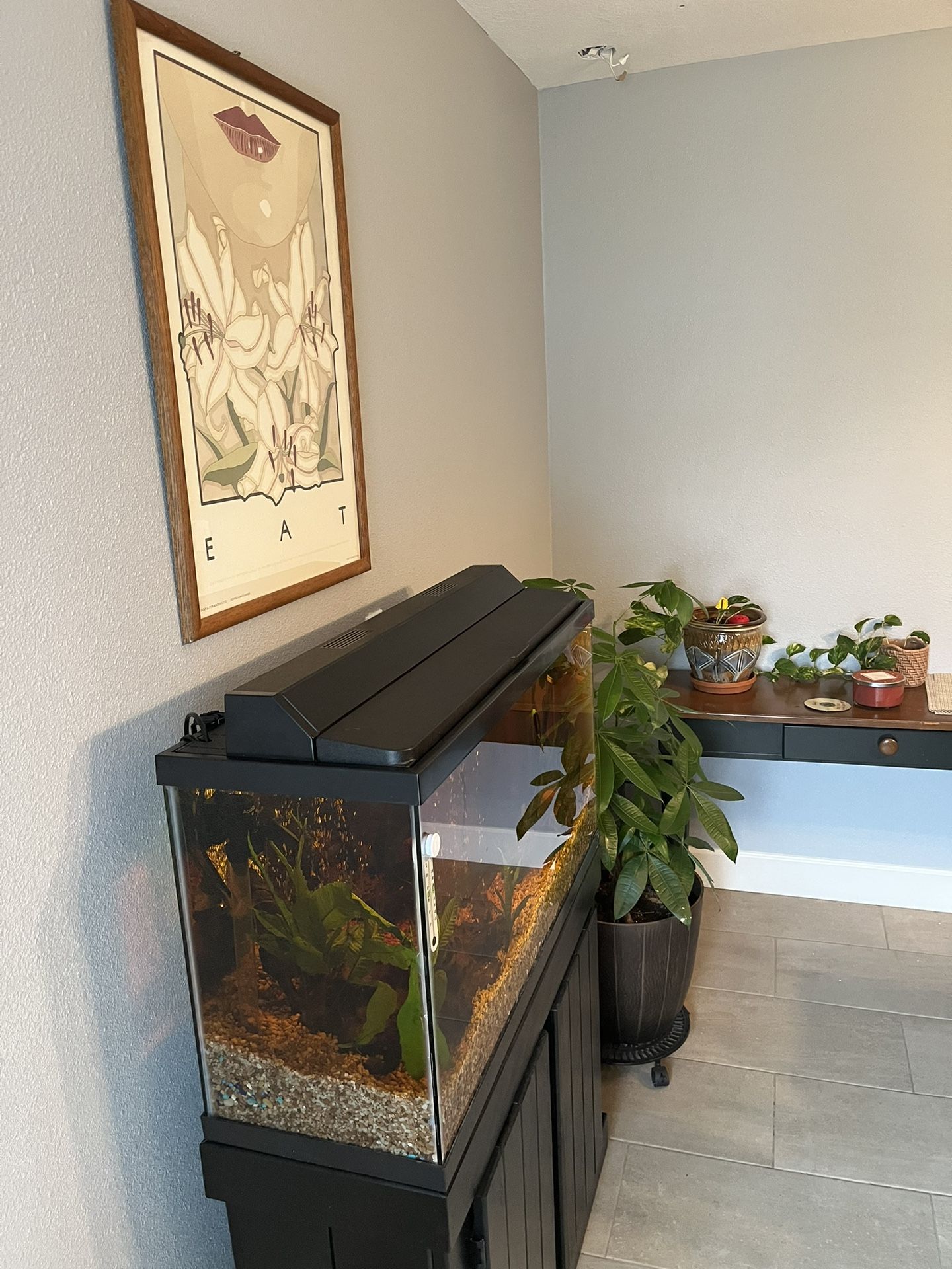 Fish Tank