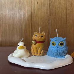 HomePoured Candles $5 each one, DM me for designs and colors!