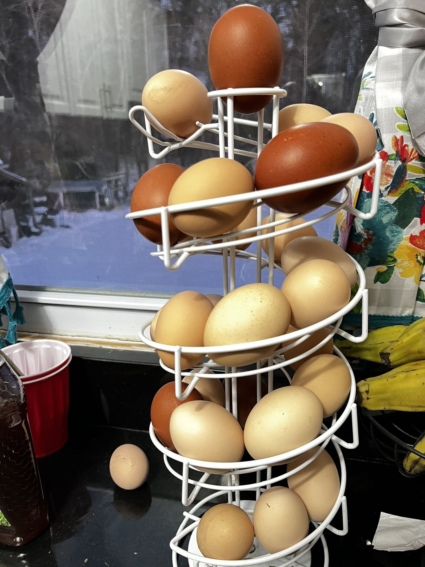 Fresh Eggs π₯