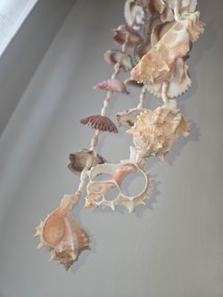 26" Big WindChime Natural Natural sea shells