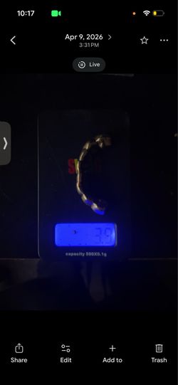 10k gold