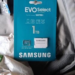 Samsung Evo Select 1 TB