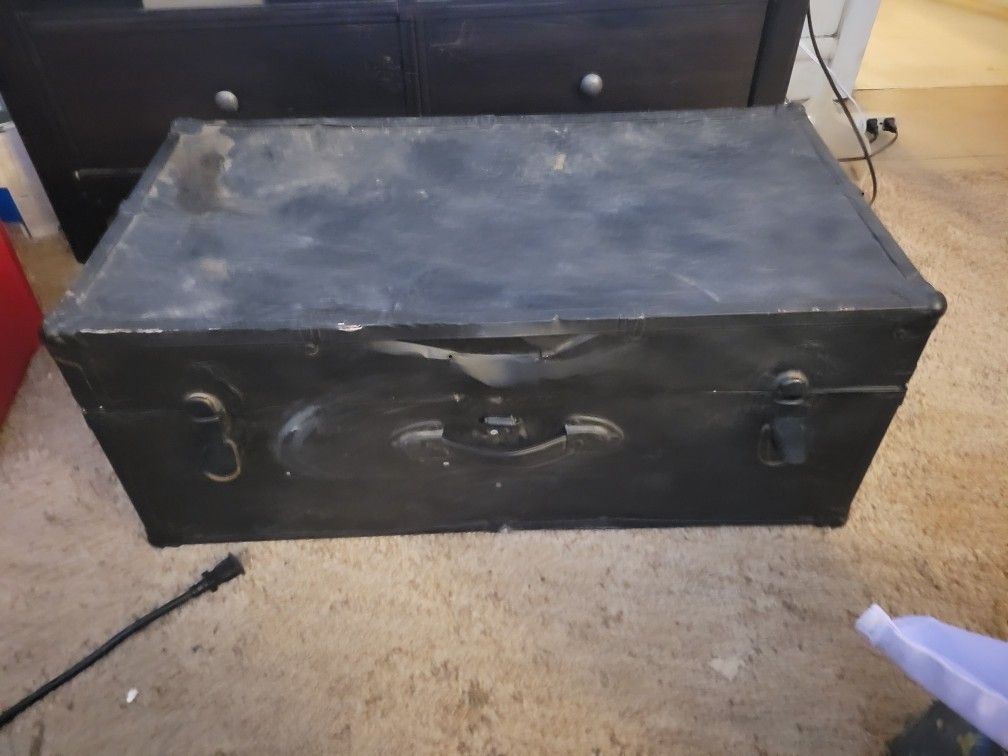 Trunk/chest