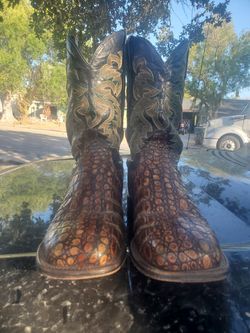 Caiman boots