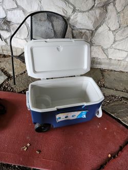 Coleman cooler
