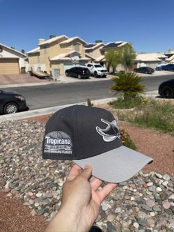 TAMPA BAY RAYS SNAPBACK 