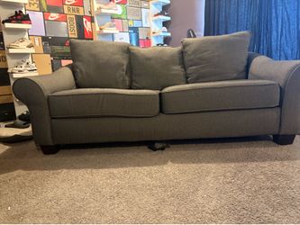 FREE Sofa Sleeper