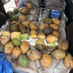 The Last 40 Coconuts For 30$