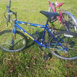 blue bike