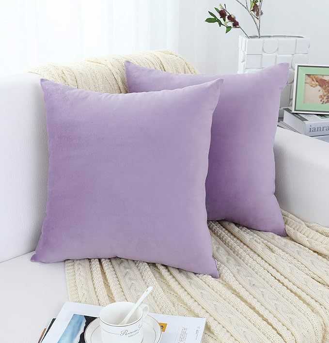 Beautiful Lavender Velvet Pillow Covers 18āX18ā. Inserts Not Included.q