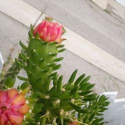 Selling In A Pot