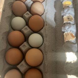 Farm Fresh Eggs