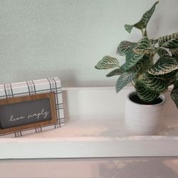 NiB White Shelve,Small LIVE SIMPLY Sign  and  Faux Plant