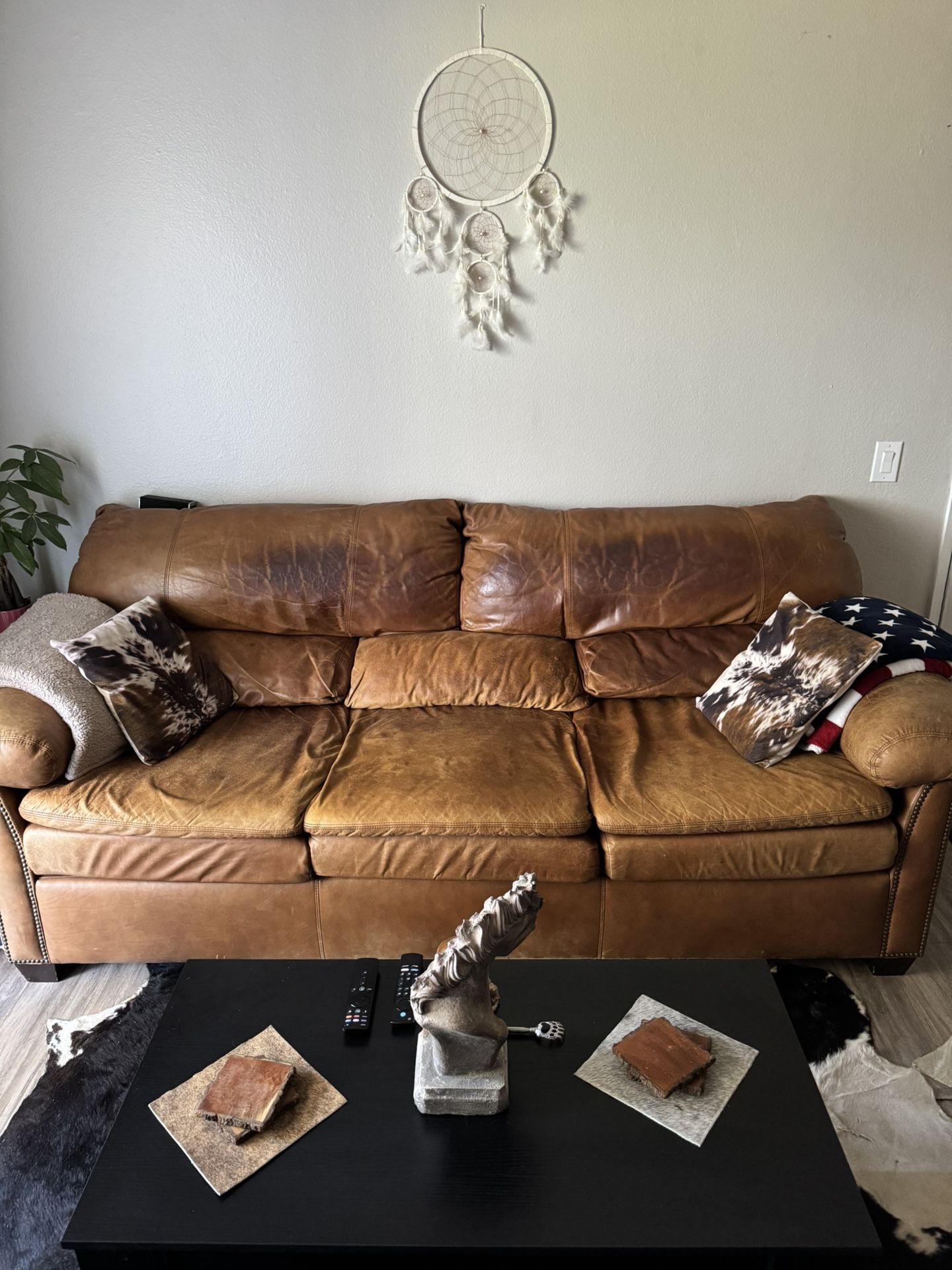 Arizona Leather Couch