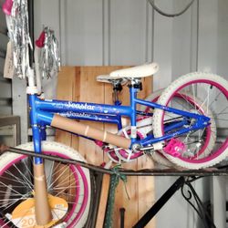 2 Bikes   2 Storm doors