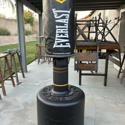 Everlast Punching Bag (PowerCore)