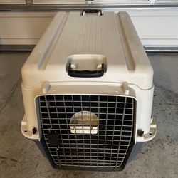 Large Dog Kennel 