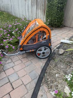 Bike Trailer For 2 Kids