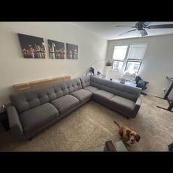 Sectional Couch