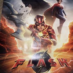 The Flash HUGE Shelter Poster
