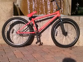 Cult 24