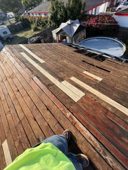 Roof🏘️ 